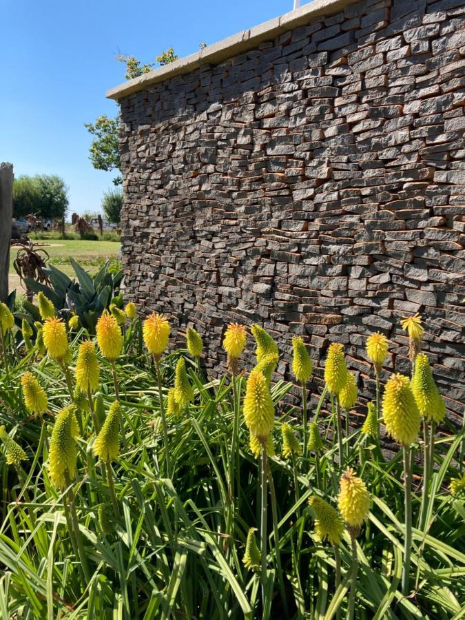 The Vaal Guesthouse Oranjeville Buitenkant foto