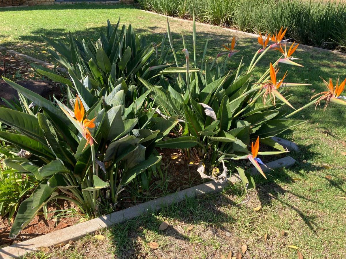The Vaal Guesthouse Oranjeville Buitenkant foto