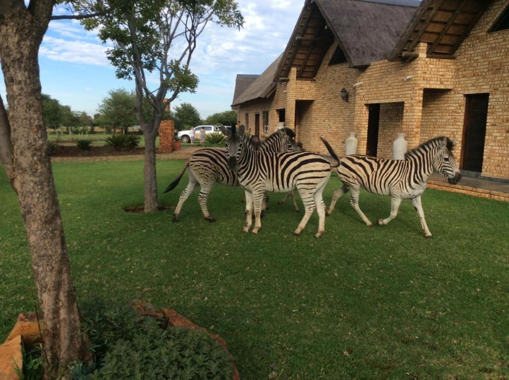 The Vaal Guesthouse Oranjeville Buitenkant foto