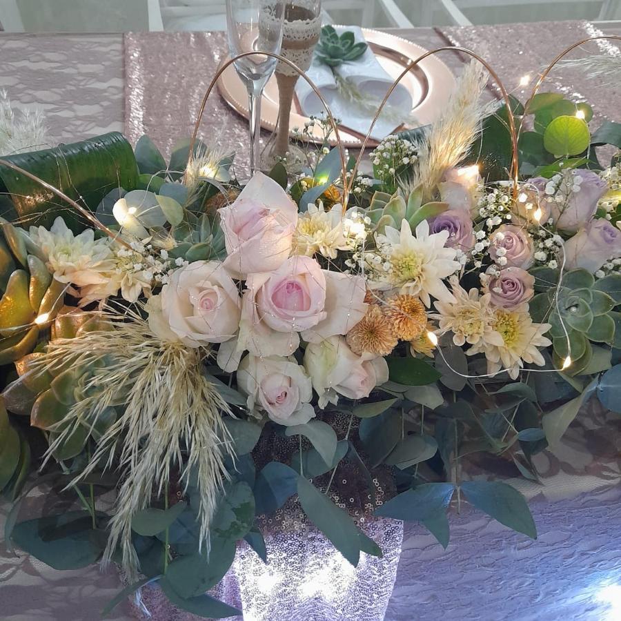 The Vaal Guesthouse Oranjeville Buitenkant foto